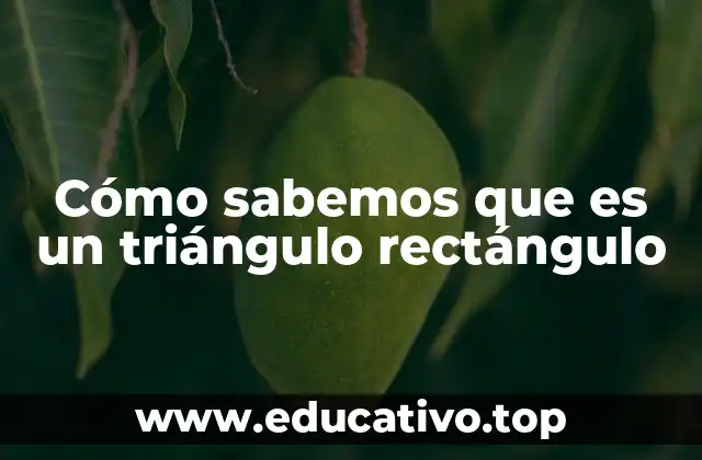 Cómo sabemos que es un triángulo rectángulo