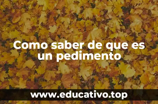 Como saber de que es un pedimento