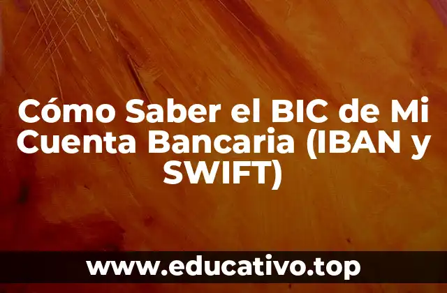 Cómo Saber el BIC de Mi Cuenta Bancaria (IBAN y SWIFT)