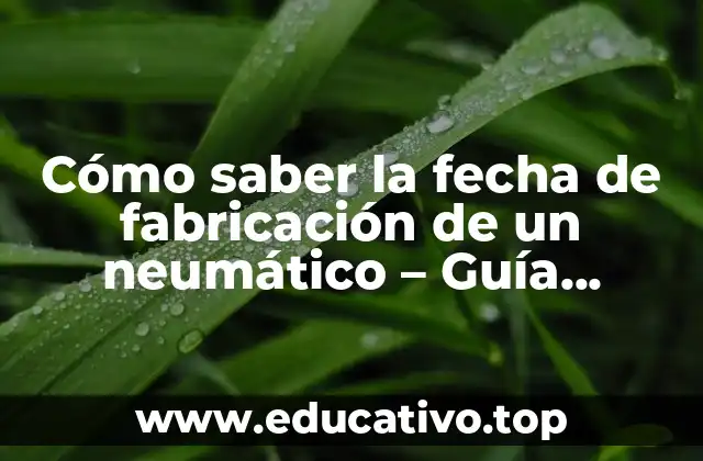 Cómo saber la fecha de fabricación de un neumático – Guía práctica