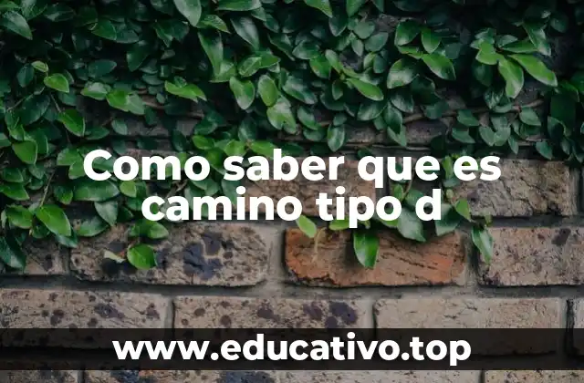 Como saber que es camino tipo d