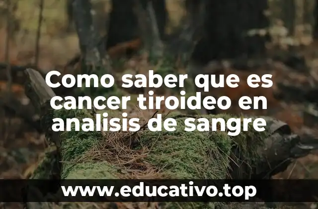 Como saber que es cancer tiroideo en analisis de sangre