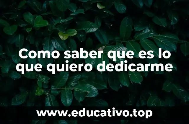 Como saber que es lo que quiero dedicarme