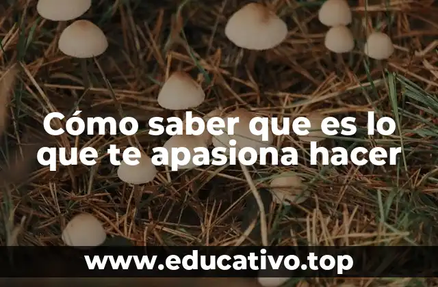 Cómo saber que es lo que te apasiona hacer
