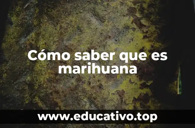 Cómo saber que es marihuana