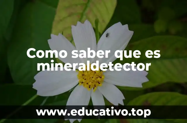 Como saber que es mineraldetector