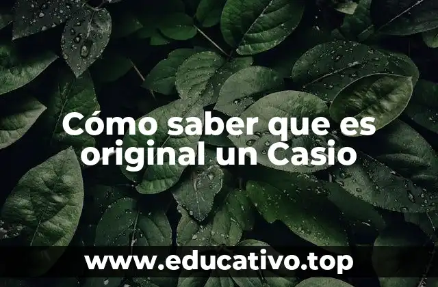 Cómo saber que es original un Casio