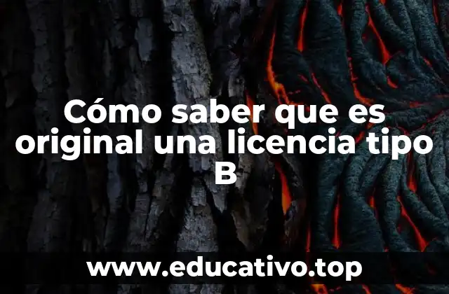 Cómo saber que es original una licencia tipo B