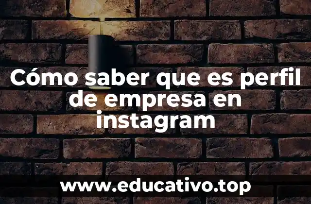 Cómo saber que es perfil de empresa en instagram