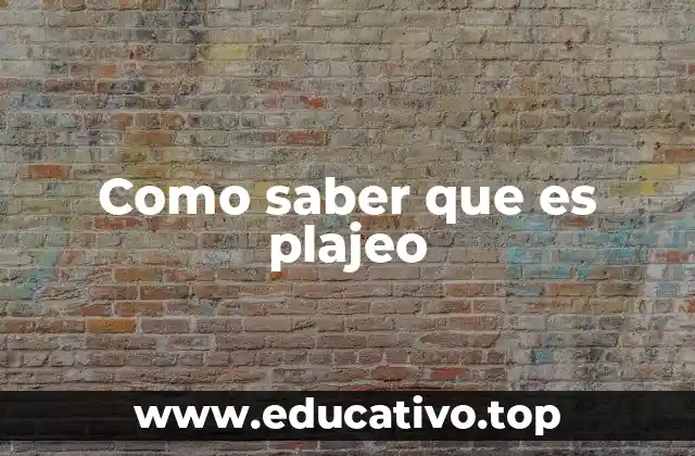 Como saber que es plajeo