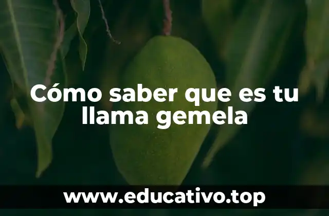 Cómo saber que es tu llama gemela