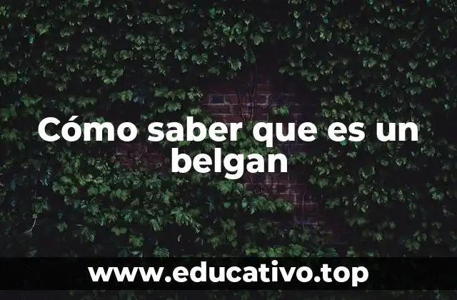 Cómo saber que es un belgan