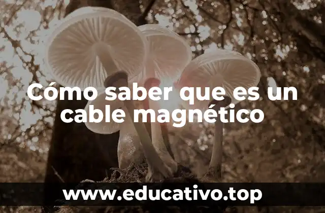 Cómo saber que es un cable magnético