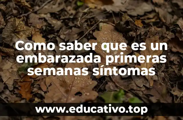 Como saber que es un embarazada primeras semanas síntomas