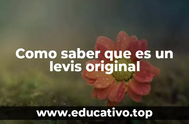 Como saber que es un levis original