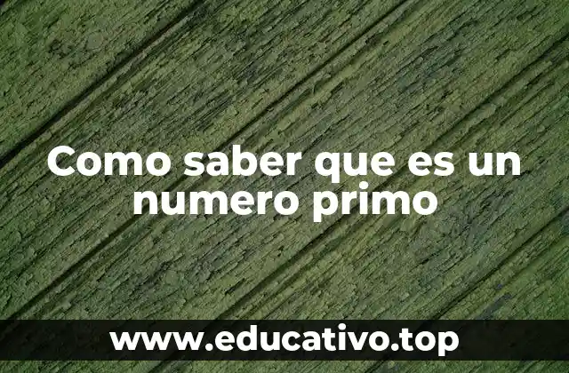 Como saber que es un numero primo