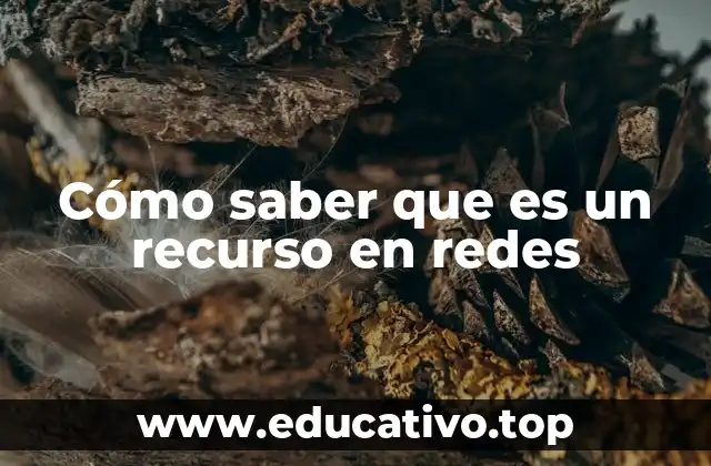 Cómo saber que es un recurso en redes