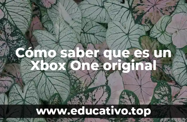 Cómo saber que es un Xbox One original