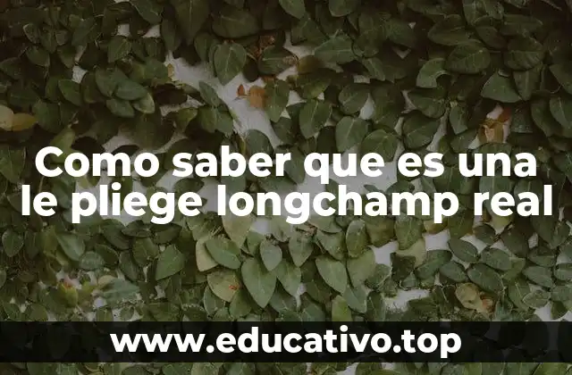 Características visuales de una le pliege Longchamp real