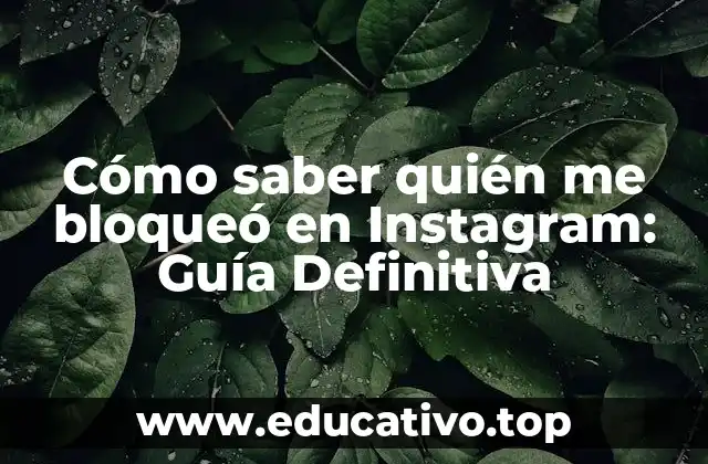 Cómo saber quién me bloqueó en Instagram: Guía Definitiva