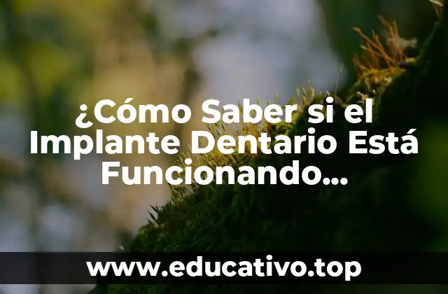 ¿Cómo Saber si el Implante Dentario Está Funcionando Correctamente?