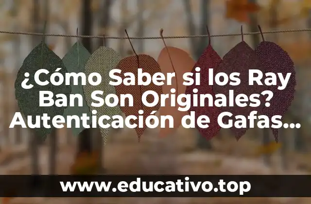 ¿Cómo Saber si los Ray Ban Son Originales? Autenticación de Gafas de Sol