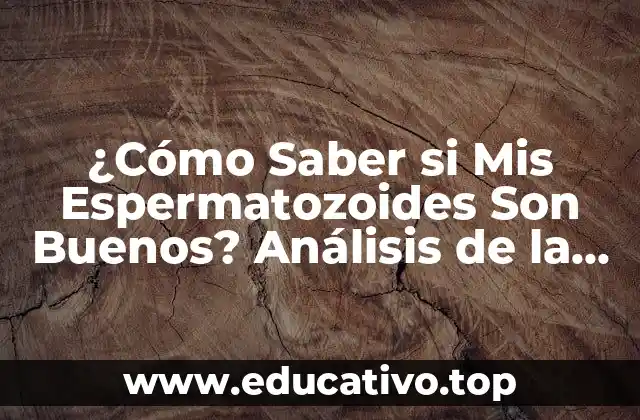 ¿Cómo Saber si Mis Espermatozoides Son Buenos? Análisis de la Calidad del Semen