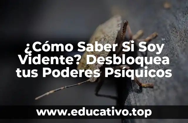 ¿Cómo Saber Si Soy Vidente? Desbloquea tus Poderes Psíquicos