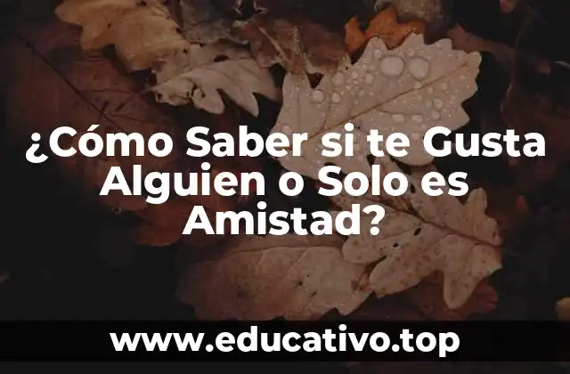 ¿Cómo Saber si te Gusta Alguien o Solo es Amistad?