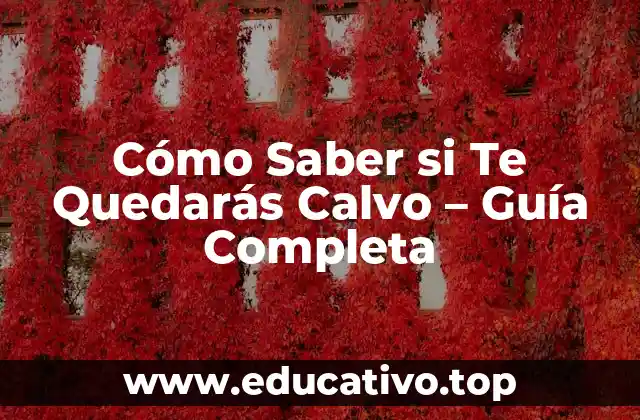 Cómo Saber si Te Quedarás Calvo – Guía Completa