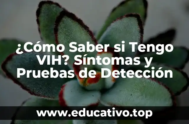 ¿Cómo Saber si Tengo VIH? Síntomas y Pruebas de Detección