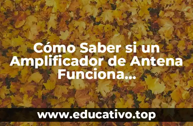 Cómo Saber si un Amplificador de Antena Funciona Correctamente