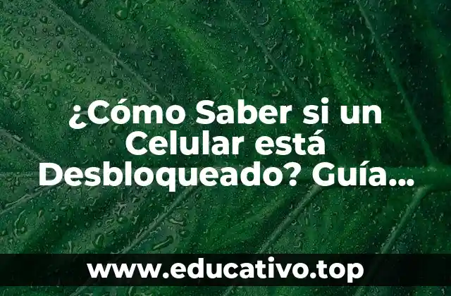 ¿Cómo Saber si un Celular está Desbloqueado? Guía Completa para Celulares Libres