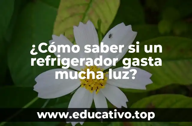 ¿Cómo saber si un refrigerador gasta mucha luz?