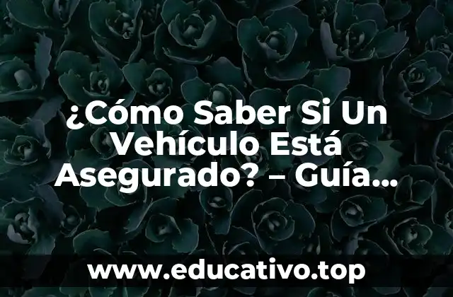 ¿Cómo Saber Si Un Vehículo Está Asegurado? – Guía Completa