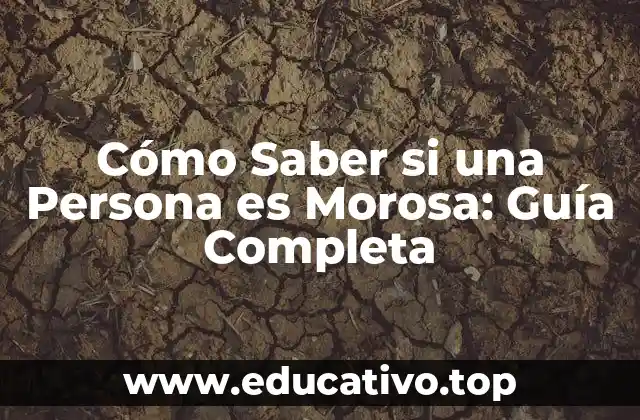 Cómo Saber si una Persona es Morosa: Guía Completa