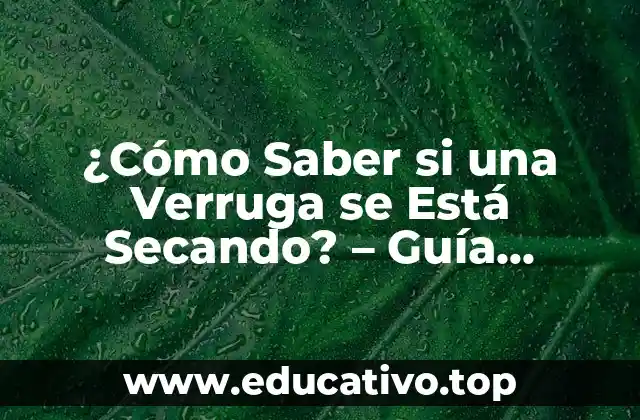 ¿Cómo Saber si una Verruga se Está Secando? – Guía Completa
