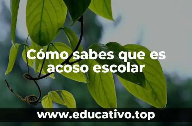 Señales que no debes ignorar en un entorno escolar