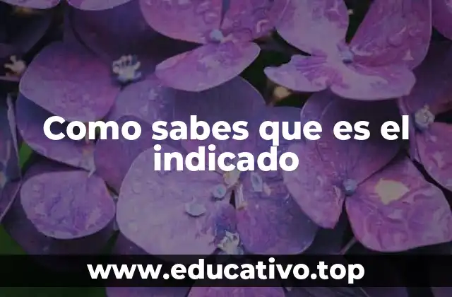 Como sabes que es el indicado