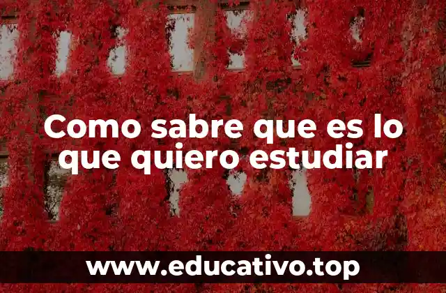 Como sabre que es lo que quiero estudiar