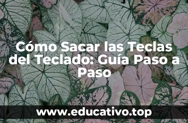 Cómo Sacar las Teclas del Teclado: Guía Paso a Paso
