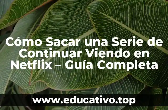 Cómo Sacar una Serie de Continuar Viendo en Netflix – Guía Completa