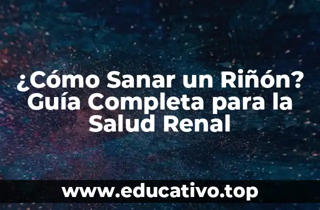 ¿Cómo Sanar un Riñón? Guía Completa para la Salud Renal