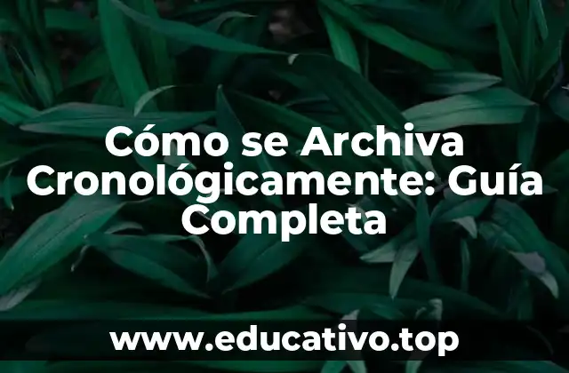 Cómo se Archiva Cronológicamente: Guía Completa