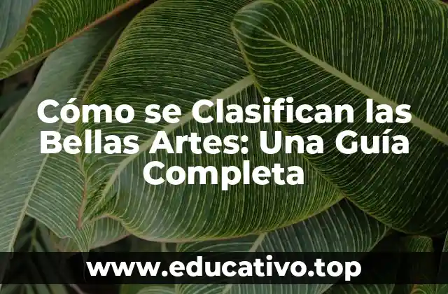 Cómo se Clasifican las Bellas Artes: Una Guía Completa