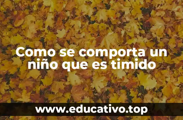 Como se comporta un niño que es timido
