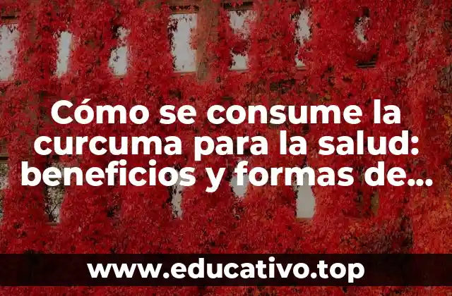 Cómo se consume la curcuma para la salud: beneficios y formas de ingesta