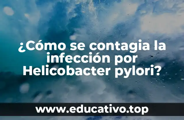 ¿Cómo se contagia la infección por Helicobacter pylori?
