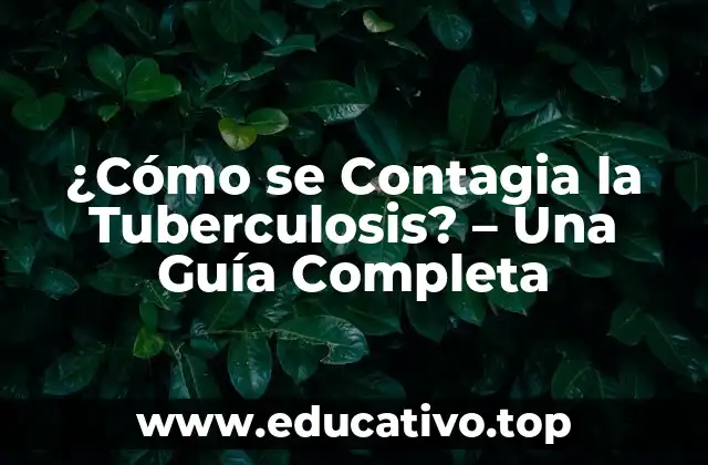 ¿Cómo se Contagia la Tuberculosis? – Una Guía Completa
