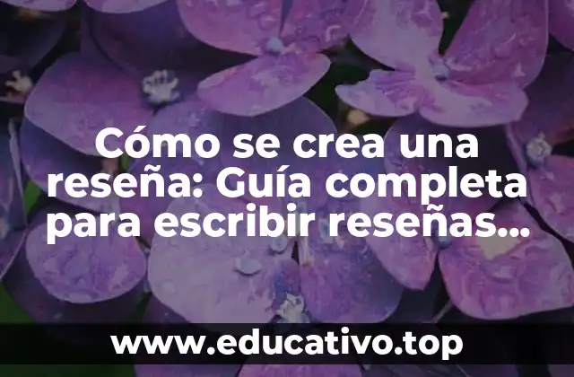 Cómo se crea una reseña: Guía completa para escribir reseñas efectivas